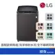 LG 樂金 WT-D170MSG 17KG DD 直立式 洗衣機 變頻 不鏽鋼 曜石黑