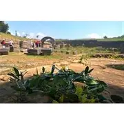 Save 28.70%! Katakolon Shore Excursion: Olympic site, Honey/Olive Oil Tasting