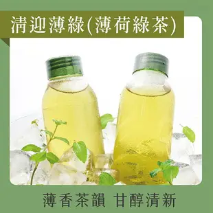 發現茶【30秒冷泡】 薄荷綠茶(清迎薄綠)(20入茶包)