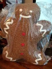 POTTERY BARN Cozy Teddy Mr Spice Gingerbread Man Pillow NWT, Sealed!