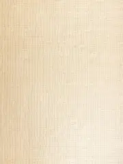Darcy Natural Off-White Felted Wool Rug