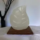 Himalayan White Leaf Salt Lamp - Includes 12v Cord and 12 Watt Globe