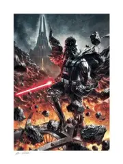 Star Wars Darth Vader: The Chosen One Fine Art Print