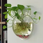 Free Punching Hydroponics Planter, Home Decoration Pot Wall Hanging Mount Bubble Aquarium Bowl Fish Tank Aquarium Home Minipot (Without Plant) Wedding Decorati