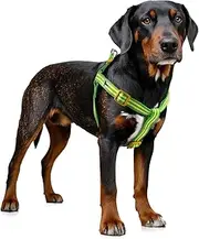 Tiffpaws Stripe Step in Dog Harness for Small Dogs, Freedom Nylon Dog Halter Vests, Lightweight and Escape Proof Puppy Harness, Quick Fits for Small Medium and Large Dogs, Green XS