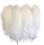 Natural Goose Feathers Clothing Accessories Pack of 100(White)