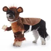 Funny Brown Bear Dog Costume