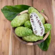 100 Fresh Noni Starvation Great Morinda Seedss (Morinda Citrifolia)
