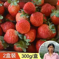 在飛比找台灣好農優惠-章姐有機草莓 買一送一 (1+1盒)