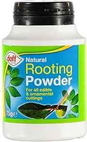 Doff® Rooting Hormone Powder 75g (2 Pack) - Helps New Roots in Cuttings and Promotes Strong, Healthy Roots