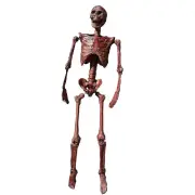 NNEOBA Halloween Mummification Skeleton Life-Size Decoration