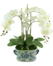 Creative Displays Orchid Floral Arrangement in Decorative Ceramic Pot