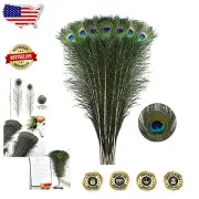 Colorful 40pcs Peacock Feathers Bulk - Ideal for Floral Arrangements & Parties
