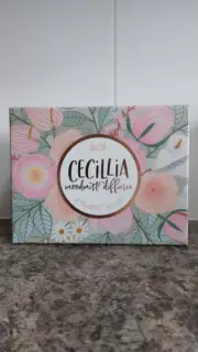 DUSK - Cecillia Rose Gold Moodmist Diffuser