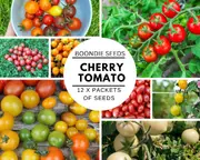 CHERRY TOMATO COLLECTION - 12 packets of seeds