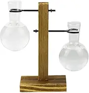 Plant Propagation Jars - Test Tube Hydroponic Rack Clear Propagating Station with Wooden Stand,Flower Rack Hydroponic Container Vase Jars for Women, Mom, Home