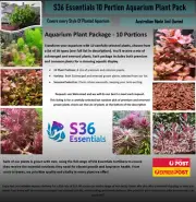 Live Aquarium Plants - 10 Pack - Emersed and Submerged Grown -