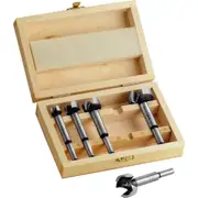 Forstner Wood Drill Bit Set - 15-35 mm, 5-Piece