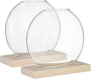 SUPVOX 2 Sets Clear Glass Flower Vase Small Hydroponic Vases with Base for Home Decoration Elegant Plant Terrarium for African Violets More