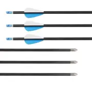 Archery Mixed carbon target arrows 3pk