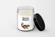 Chipmunk Whisperer Candle - Soy Wax Candle - Hand Poured Candle