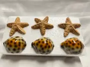 Set of 12 Sea Shell Shower Hooks
