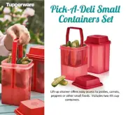 New Tupperware Small Pick-A-Deli Containers Set