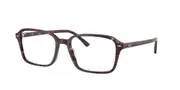 RAY-BAN-0RX5431F-8393-5418-GLASSES FRAMES