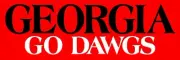 REUSABLE STENCIL 10343 E 6"x18" GEORGIA GO DAWGS DIY SIGN MYLAR STENCILS