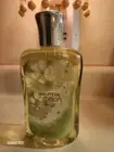 Bath & Body Works: Cucumber Melon 10 OZ Shower Gel -SEALED NEW