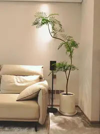 在飛比找樂天市場購物網優惠-海虹景品藍花楹仿真綠植高端輕奢室內客廳仿生假植物大型落地盆栽