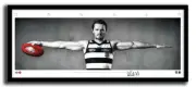 PATRICK DANGERFIELD MINI WINGS GEELONG CATS FC AFL PRINT FRAMED MEMORABILIA