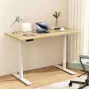 Artiss Electric Standing Desk Sit Stand Desks Dual Motor 120CM White Oak