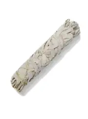 White Sage Smudge Stick - Mediun