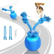 Interactive Dog Toys Electric Dog Ball Touch Wake-up with Dogs Chirping Recha...