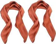 [Holibanna] Neck Scarf for Women 2 Pcs Scarves Stylish Hair Accessories for Ladies