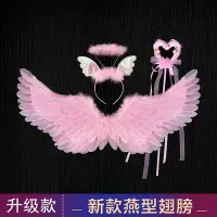 在飛比找Yahoo!奇摩拍賣優惠-天使精靈發光翅膀道具公主花童用品背飾幼兒園六一禮物花仙子裝飾