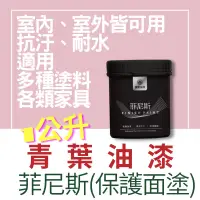 在飛比找蝦皮購物優惠-【🌈卡樂屋】 青葉 菲尼斯 保護面塗 防水透明面漆 透明防水