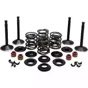 Kibblewhite Complete Black Diamond Engine Valve Kit Harley Super Glide 71-77