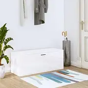Wall Shoe Cabinet High Gloss White, Closet Storage Organizer, Shelf, Shelves, Shoes, Small
