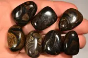 7 STROMATOLITE Tumbled Stones 2-3cm 92g Natural Fossil Healing Crystal