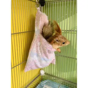 蜜袋鼯窩珊瑚絨四季松鼠龍貓懸掛保暖吊床玩具寵物用品棉窩睡袋床