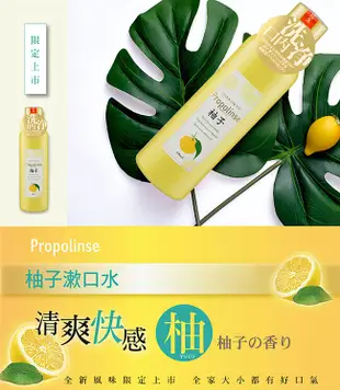 Propolinse蜂膠漱口水(600ml/瓶) (7.4折)