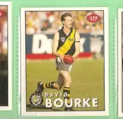 1996 AFL SELECT STICKER #177 DAVID BOURKE, RICHMOND TIGERS