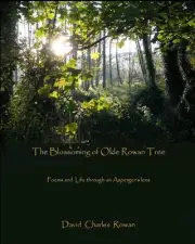 The Blossoming of Olde Rowan Tree: Poems and life through an Asperger's lens by