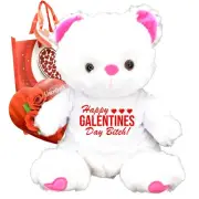 Valentines Day Teddy Bear Funny Cute Gift Happy Galentines Chocolates Plush