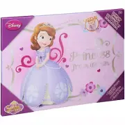 Brand New Disney Sofia The First Light-Up Canvas LED Wall Art New In Package NIP