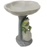 Polyresin Brooding Frog on Stone Outdoor Garden Bird Bath - 22 in by Sunnydaze