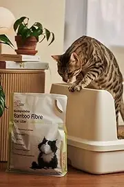 Wonderland Bulk Biodegradable Bamboo Fibre Cat Litter 2KG | Superior Odour Control, Fast Clumping & Flushable | Eco-Friendly Value Pack