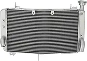 Engine Radiator Fit for Yamaha YZF-R1 R1 R1M 2015-2024 YZF R1S 2016-2018 Motorcycle Radiator Cooling Radiator Grille